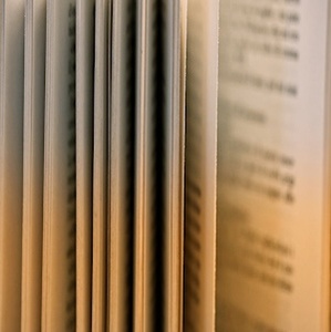 La Costituzione commentata